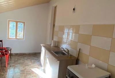 Casă cu 3 camere cu Teren 80 Mp în Vintilă Vodă - 8