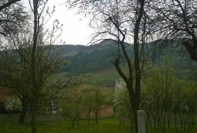 Teren Construcții intravilan de 2750 mp, în Nicula - 3