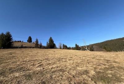 Teren Construcții intravilan de 12500 mp, în Galbena - 4