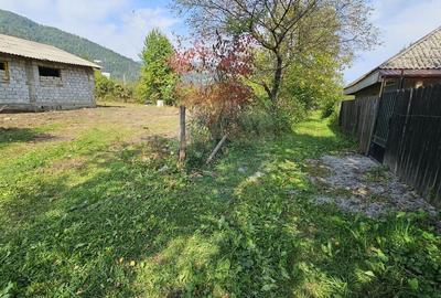 Teren 1,672mp Straja, Comuna Tarcau - 6