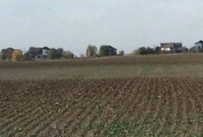 Teren de 4900 mp, în Căciulați - 3