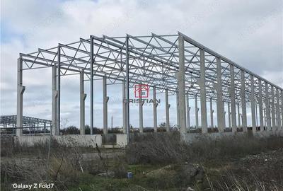 Vanzare depozit hala spatiu industrial Mogosoaia - Buftea - 3