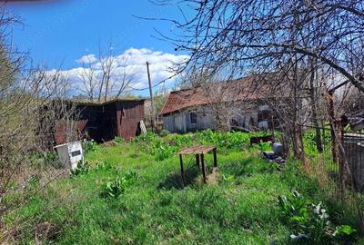 Vanzare Casa sat Valea Fetei, comuna Verguleasa, jud. Olt - 1