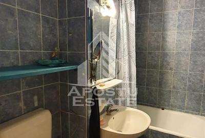 Apartament cu 3 camere decomandat, mobilat în Freidorf - 9