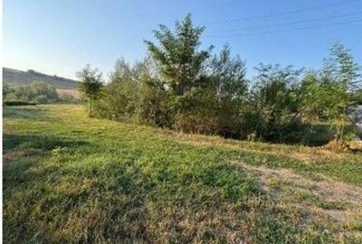 Teren de 2500 mp, în Români - 3