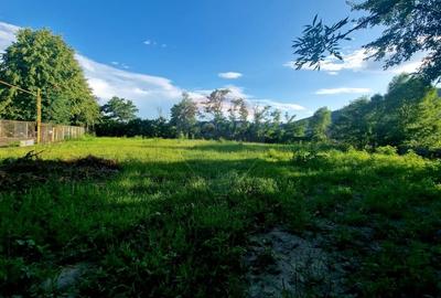 Teren 1,749mp Piatra-Neamt / Strada Zambilelor - 7