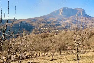 Teren în Buceș - 6