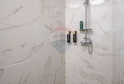 Apartament cu 2 camere decomandat, mobilat în Zamora - 9