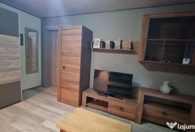 Apartament cu 2 camere semidecomandat, mobilat în Brazda lui Novac - 5