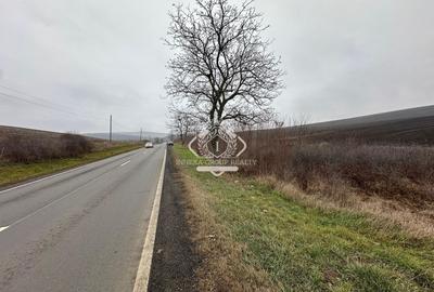 Teren Construcții intravilan de 13780 mp, în Apahida - 4