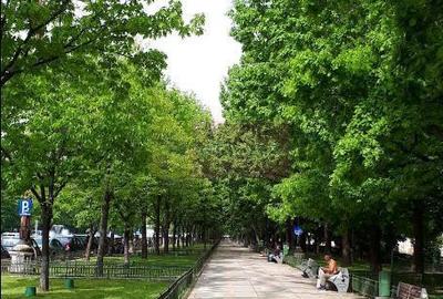 Garsonieră decomandată în Centrul Civic - 2
