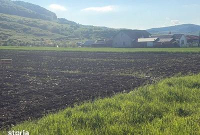 Teren de 2500 mp, în Șieu - 7