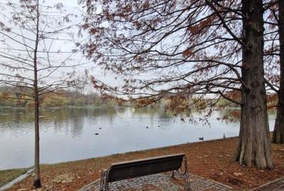 Apartament cu 2 camere la 12 minute de metrourile Dristor 1 si Grigorescu - 29