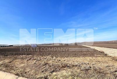 Teren agricol extravilan de 10000 mp, în Stroiești - 6