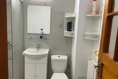 Apartament cu 2 camere decomandat, mobilat în Abator - 5