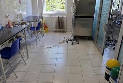 Birou, de 150 mp, în Drumul Sării - 4