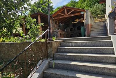 Casă cu 4 camere în Viișoara - 11