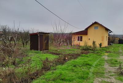 Casă cu 3 camere în Central - 14