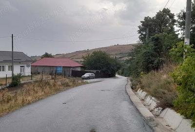 Casa, teren intravilan si extravilan, padure - 2