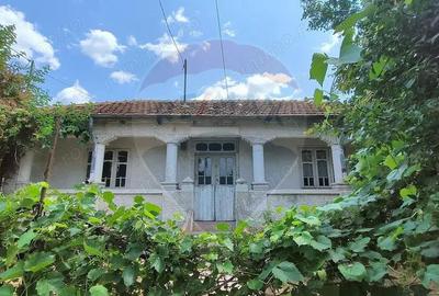 Casa cu teren de vanzare in Sat Costi