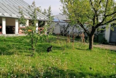 Casă individuală cu 3 camere cu Teren 937 Mp în Vlădeni - 4