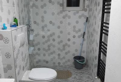 Casa de inchiriat in Talmaciu - 6