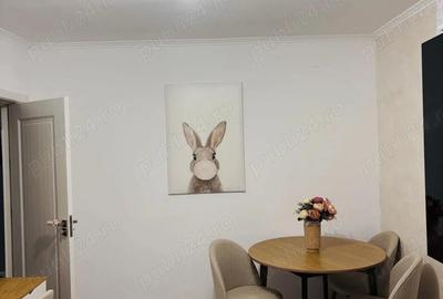 Apartament cu 4 camere decomandat în Ostroveni - 2