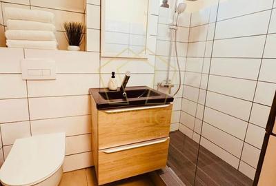 Apartament cu 2 camere, mobilat în Iosefin - 1