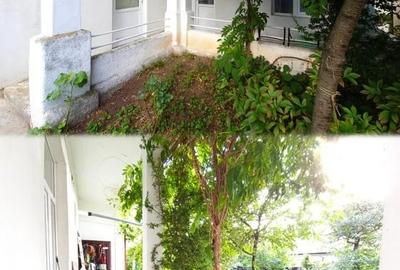 Vila de inchiriat, PET FRIENDLY, 3 camere, 70 mp, curte, zona Parcul Cetatuia - 6