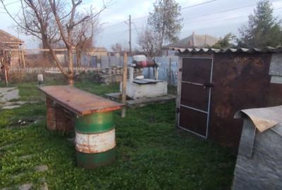 Casă cu 4 camere în Viișoara - 6