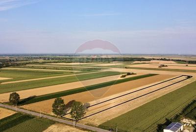 Teren Vanatori / Strada DJ204E Spre Mircesti - 11