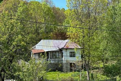 Casă cu 3 camere cu Teren 1427 Mp în Central - 8