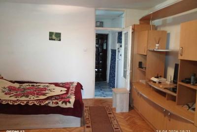 Garsonieră semidecomandată în Valea Rosie - 1