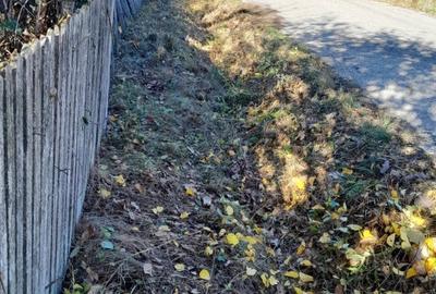 Teren Construcții intravilan de 5296 mp, în Cuca - 7