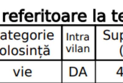 Teren de 4780 mp, în Dumbrăveni - 2