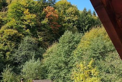 Casă cu 4 camere în Moieciu - 2