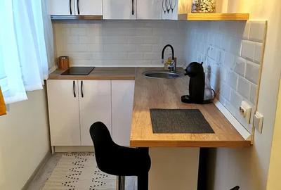 1 camera, 30 mp, de inchiriat apartament in zona Alexandru cel Bun,Cod 160068 - 4