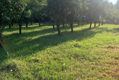 Teren de 1780 mp, în Central - 6