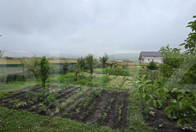 Teren de 800 mp, în Central