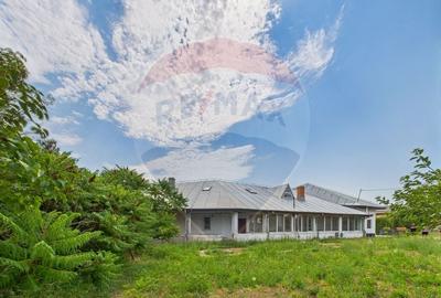 Proprietate specială, de 937 mp, în Dragomirești-Deal - 4