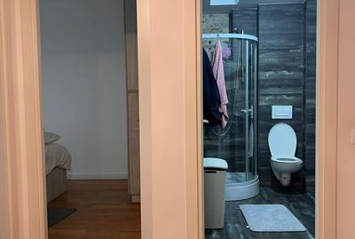 Apartament cu 3 camere, mobilat în Copou - 9