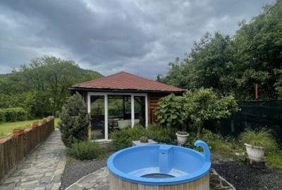 Duplex de vanzare, cu 8 camere, 300 mp, zona centrala Duplex de vanzare, cu 8 camere, 300 mp, zona centrala - 5