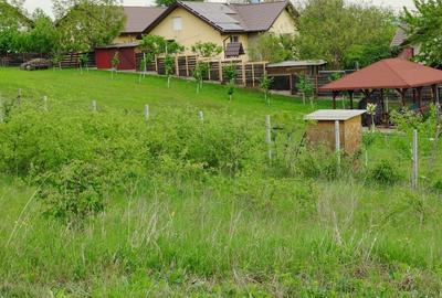 Teren intravilan de vânzare – Ciurbești, vedere la lac - 2