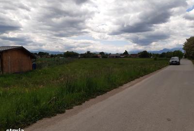 Teren de 50000 mp, în Prejmer - 5