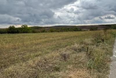 Teren în Vlad Țepeș - 11