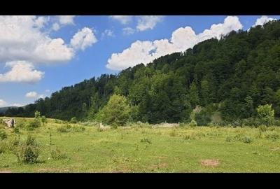 Spațiu comercial, în Moroeni - 4