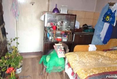 Vand casa curte si gradina in Branisca (la 15 Km de Municipiul Deva), suprafata de teren 2245 mp - 6