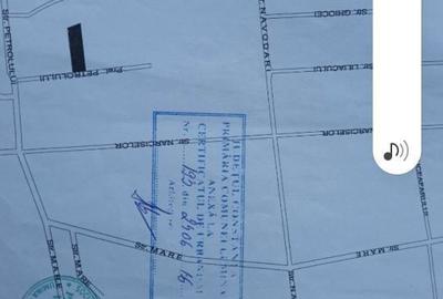 Spațiu comercial, în Lumina - 1