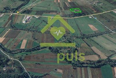 ? Teren intravilan 10.000 mp Mesteacan, jud. Hunedoara ? - 3