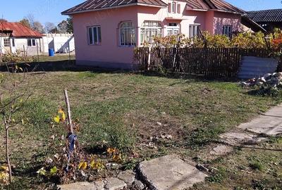 Casă cu 3 camere cu Teren 4000 Mp în Bărăști - 2